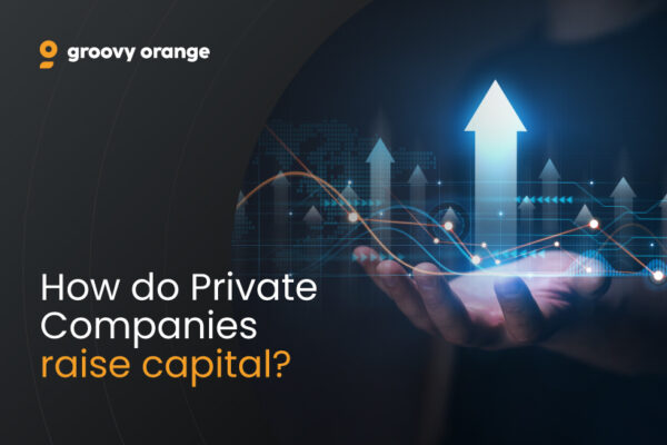 Company raise capital